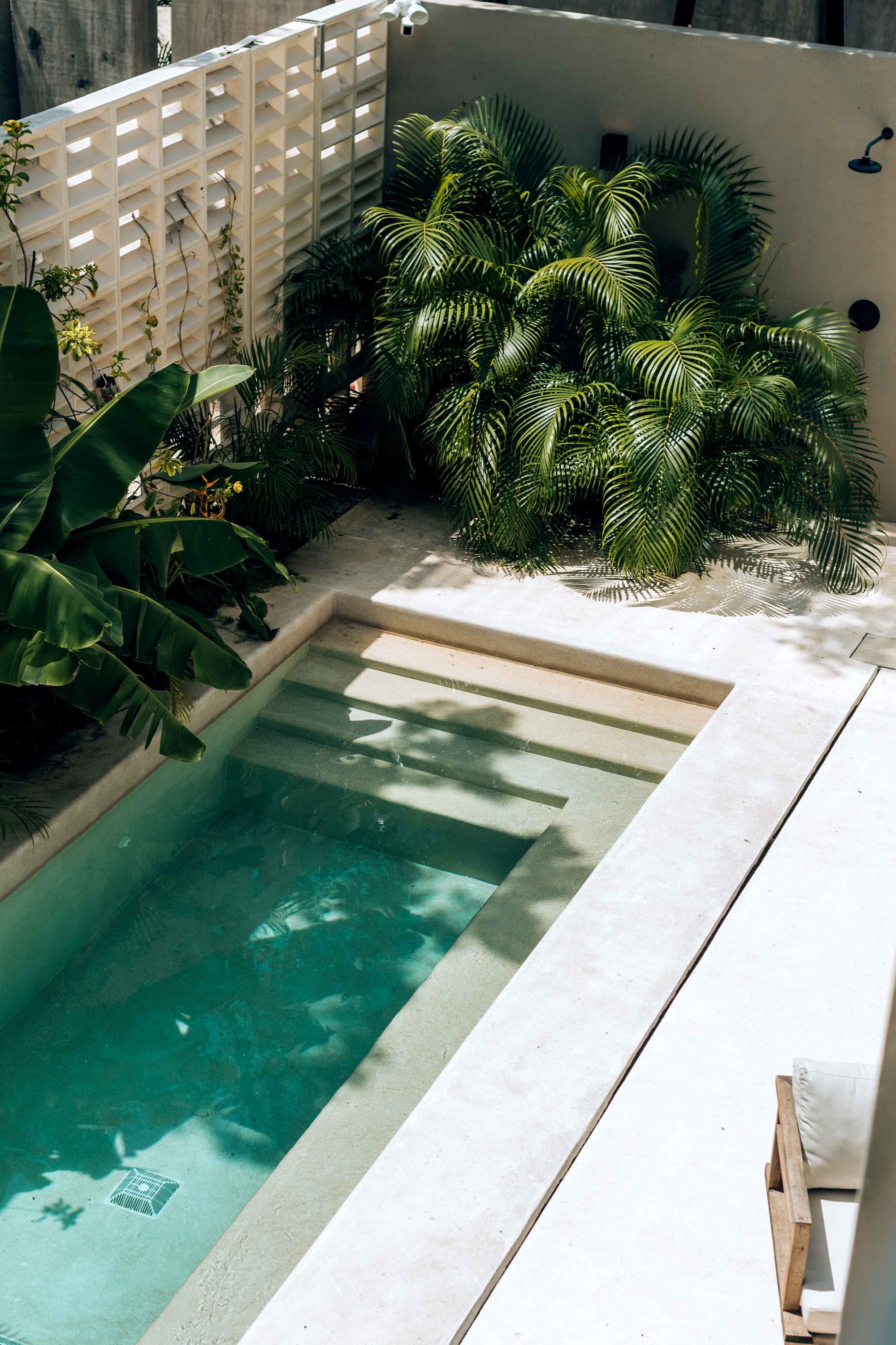 Essence Luxury Villa private plunge pool at Aflora, Aldea Zama, Tulum
