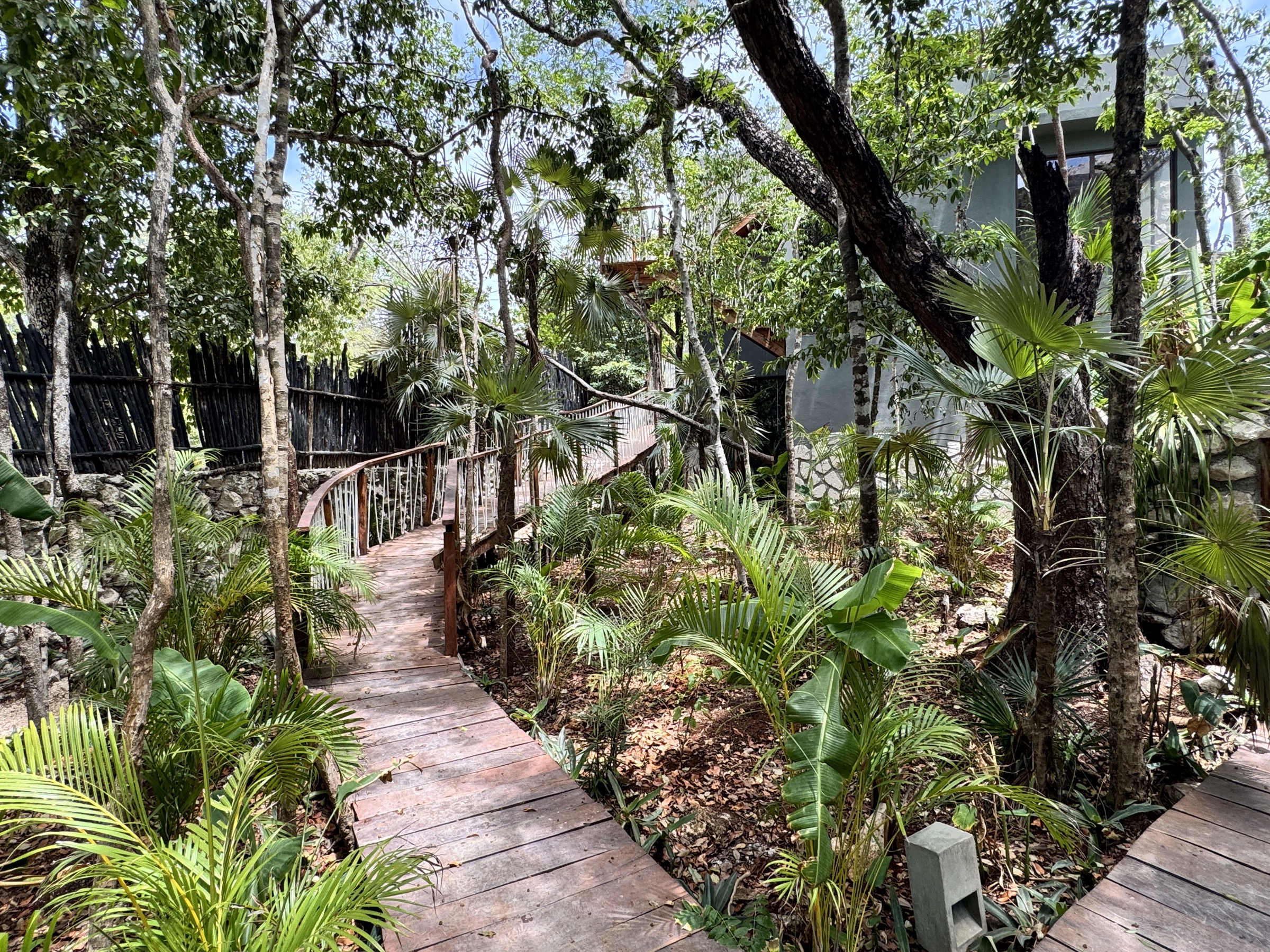 Elevated wooden walkway through the jungle connecting Siwá Élevé blocks, dense tree cover on both sides