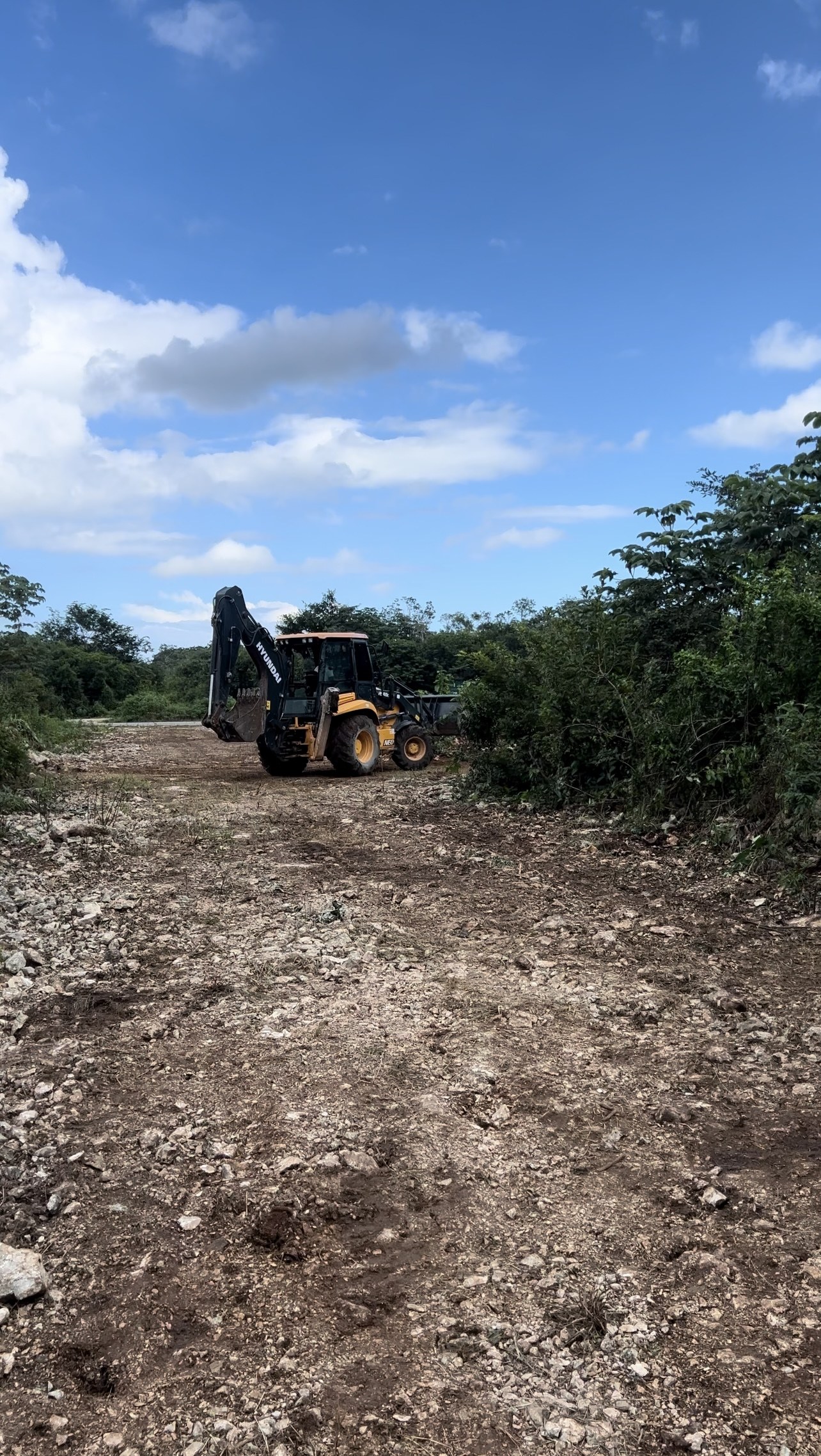 Backhoe grading a cleared road through jungle at the Trébola Tulum site